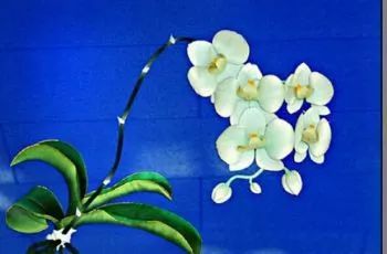 承德各縣特產知多少？調查稱63.4%市民未曾詳悉